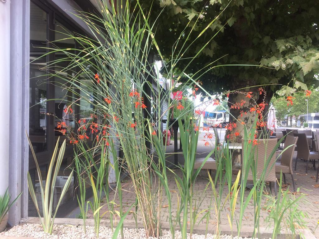 La Hourquie Cafe Hotel Morlaas Luaran gambar